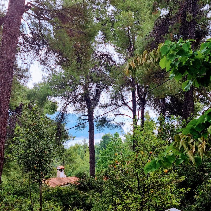 Villa Nefeli Sani  Bagian luar foto