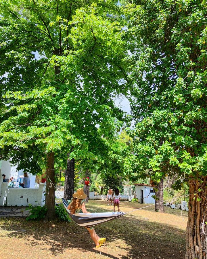Villa Nefeli Sani  Bagian luar foto